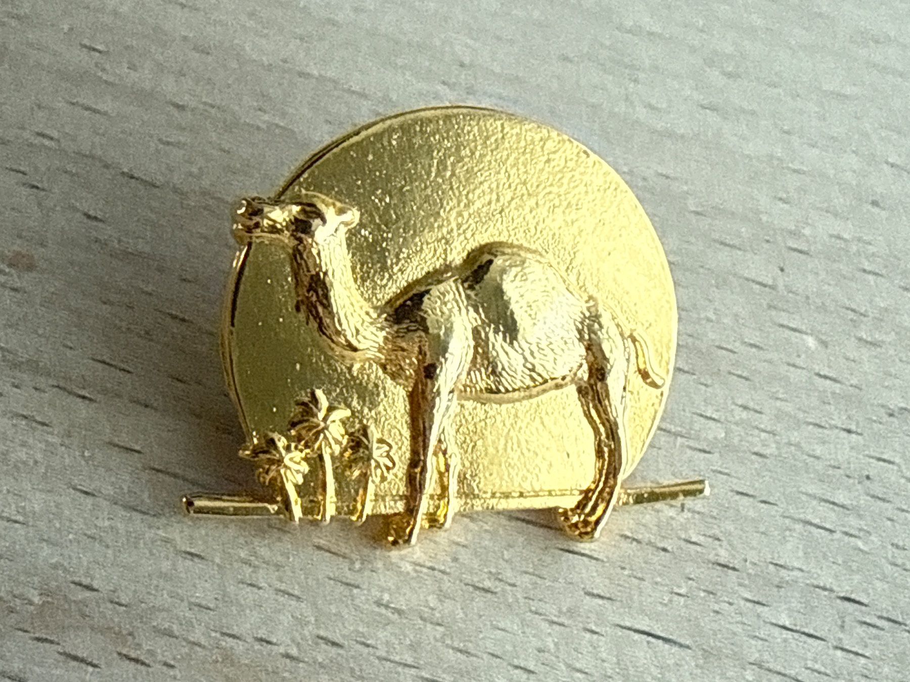 Placchette & Badge: Pin  Kamel – Usato da Glattbrugg venduto da Schweigmatt
