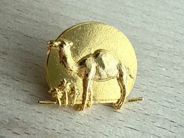 Pin  Kamel