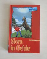 Buch - Vollblut / Stern in Gefahr