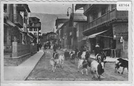 Zermatt - La rentree des chevres - Ziegenherde