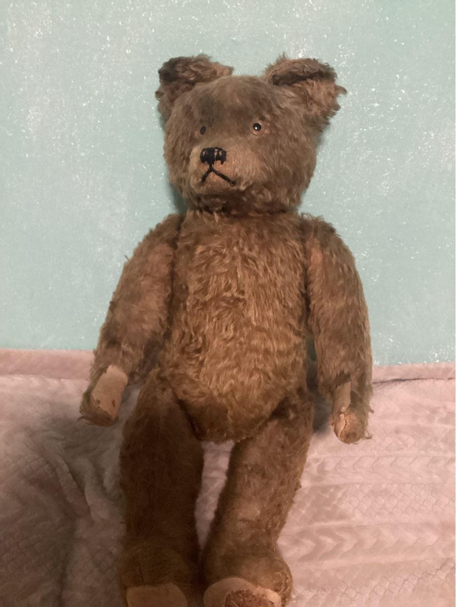 Steiff Giocattoli: ANTIKER TEDDY STEIFF? – Usato da Münchenstein venduto da NoSu98 5