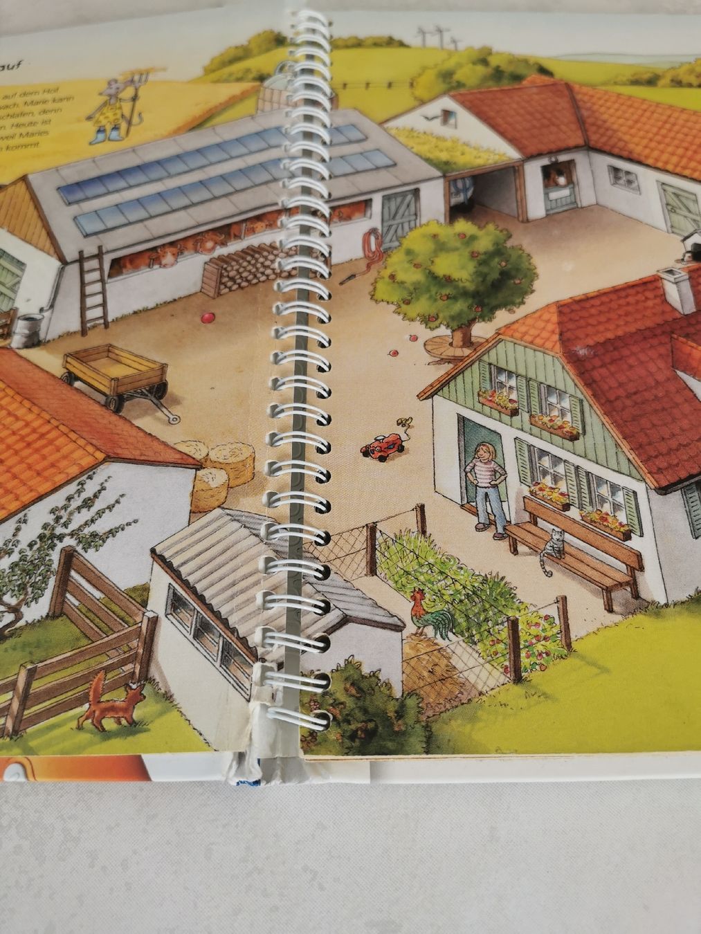 Libri: Tiptoi Entdecke den Bauernhof – Usato da Brunnen venduto da JJaime 1