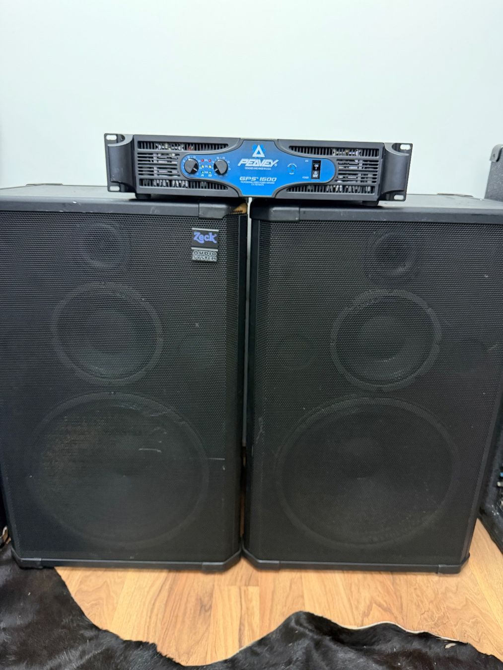 Peavey Amplificatori: PA Zeck mit Peavy Endstufe – Usato da Rothrist venduto da electricGipsy