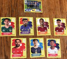 Panini Sticker 2026