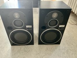 Technics SB-X 100 Flachmembran Lautsprecher
