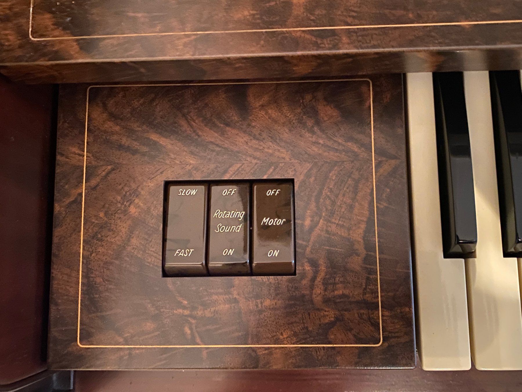 Strumenti musicali: Heimorgel Farfisa Louvre – Usato da Lachen SZ venduto da TALJB 7