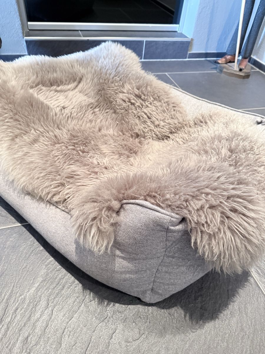 Niches, paniers: Hundebett – Neuf (Voir description) à Wermatswil par FEDN 4