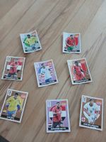 8 Extra stickers panini