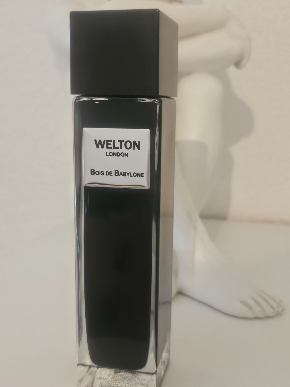 Profumi & Eau de Toilette: Welton Bois de Babylone 100 ml – Usato da Bex venduto da bes_9dyf