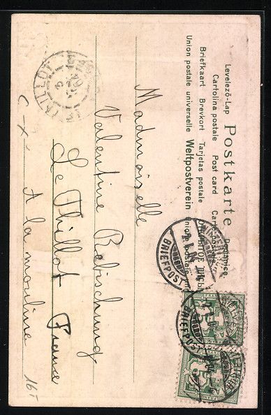 Cartoline postali: Winterthur, Partie am Stadthaus, Rehe am – Usato da Berlin venduto da bartko-reher 1