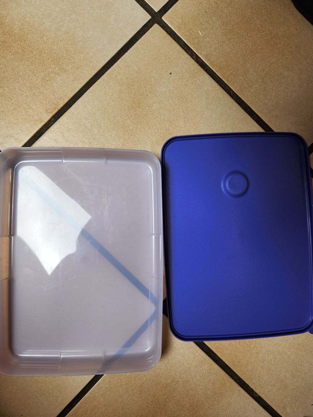 Tupperware Contenitori & Simili: Tupperware Kühlschrank/Tiefkühlbehälter – Usato da Gstaad venduto da Meiel2020 1