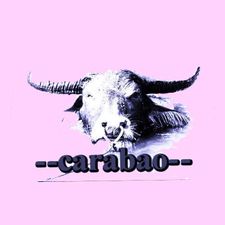Profile image of --carabao--