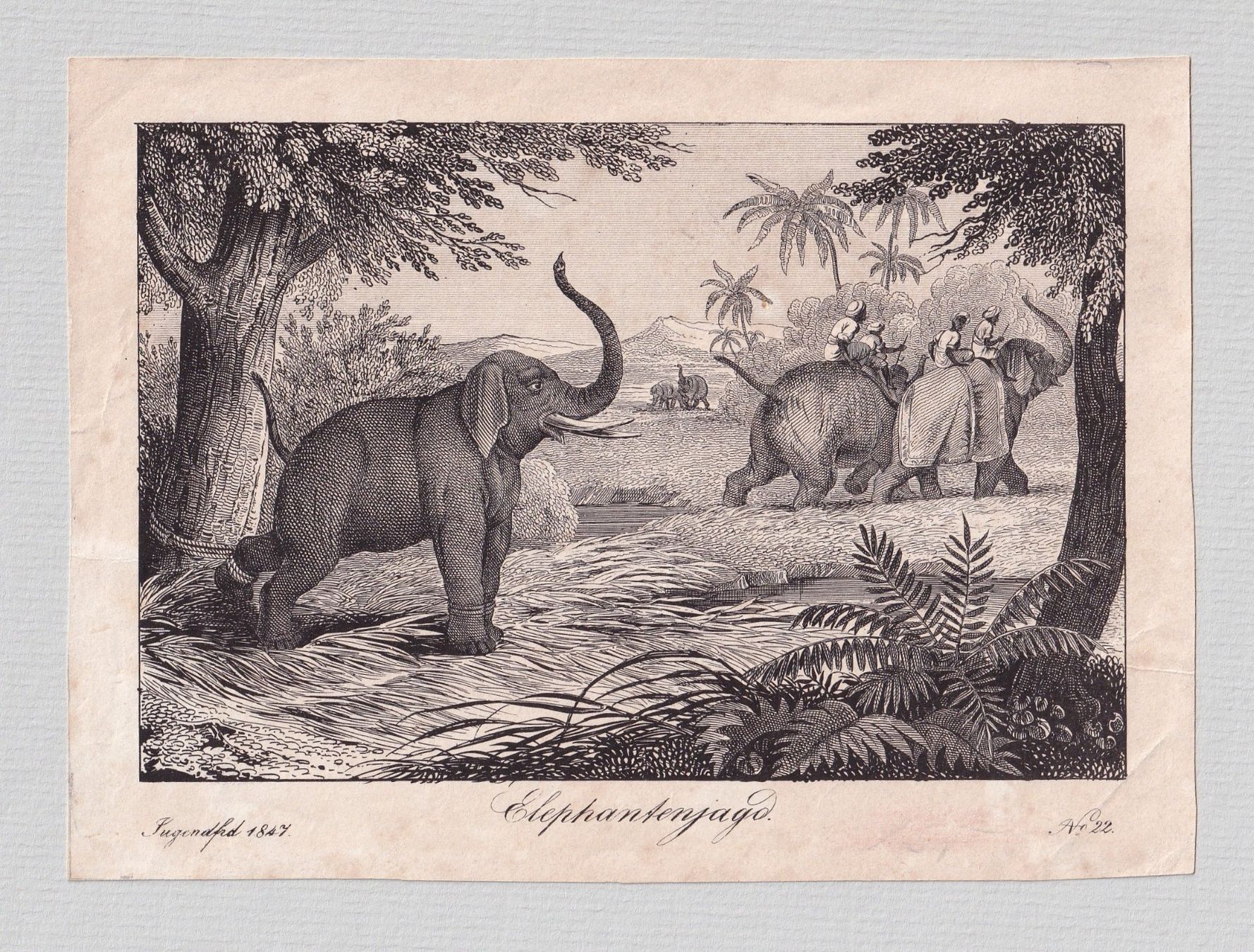 Gravures: ELEFANT, ELEFANTENJAGD, LITHOGRAPHIE 1847 – D'occasion à Grüningen par Kartensammler 1