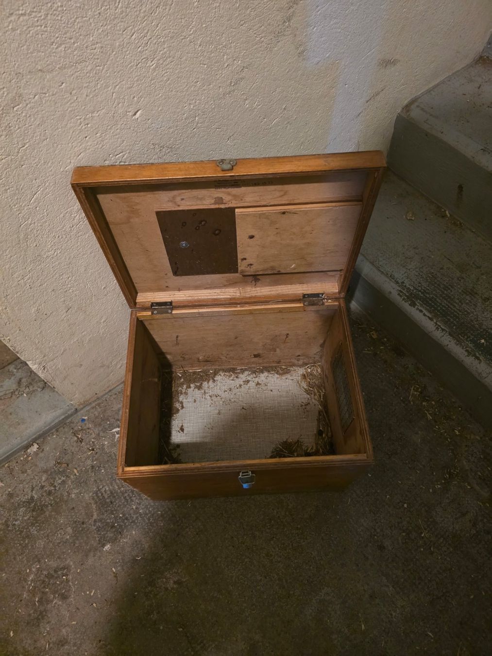 Käfige, Transport & Sicherheit: Transportbox – Gebraucht aus Biberist von lea_77s7 1