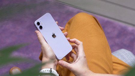 Apple Telefoni cellulari / Smartphones: Apple Iphone 11 64GB – Usato da Thun venduto da bernhard76 1