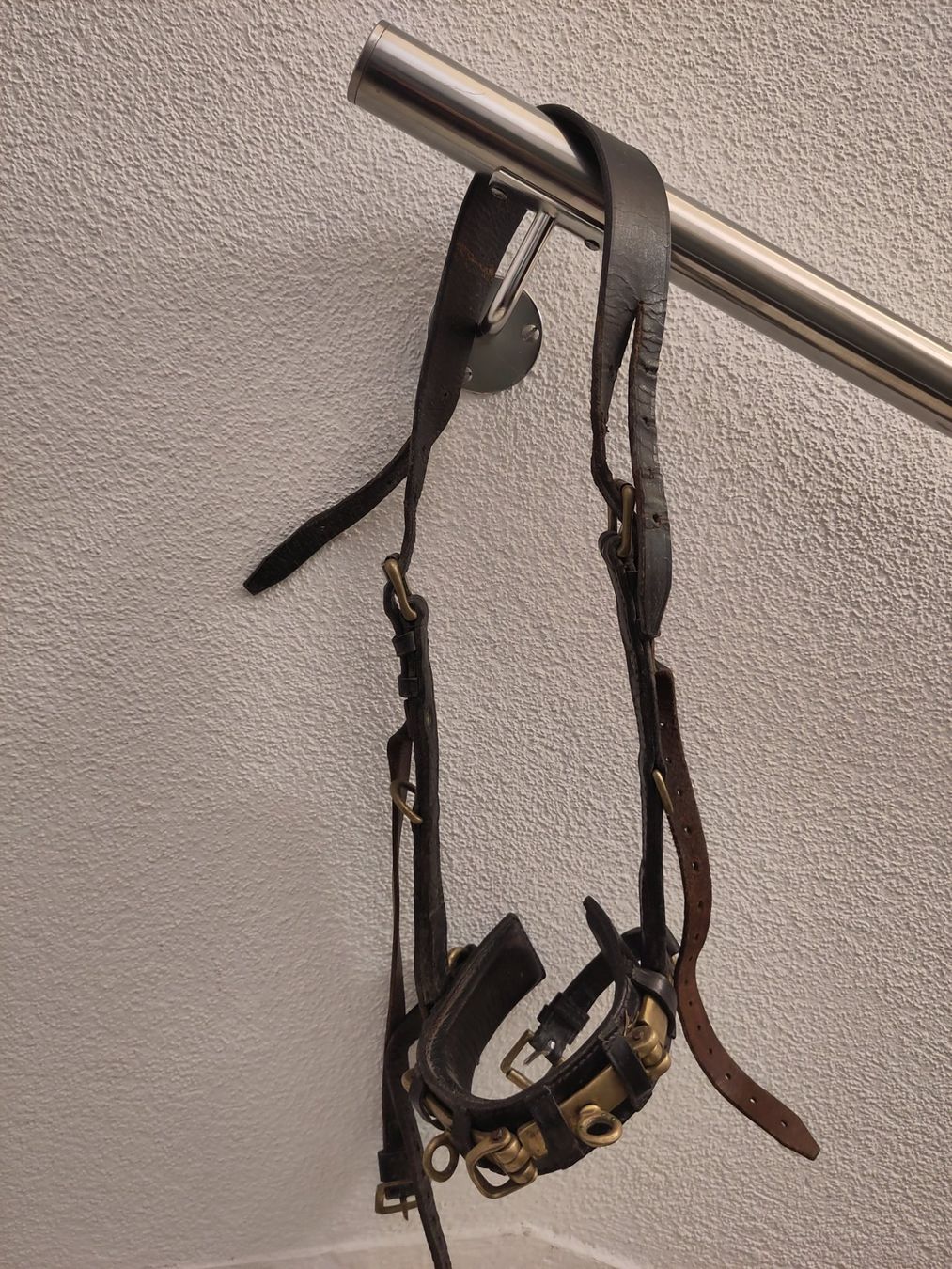 Zaumzeug & Halfter: Kappzaum Leder mit Bronzeelementen – Full – Gebraucht aus Zürich von Bischosa