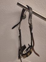 Kappzaum Leder mit Bronzeelementen – Full