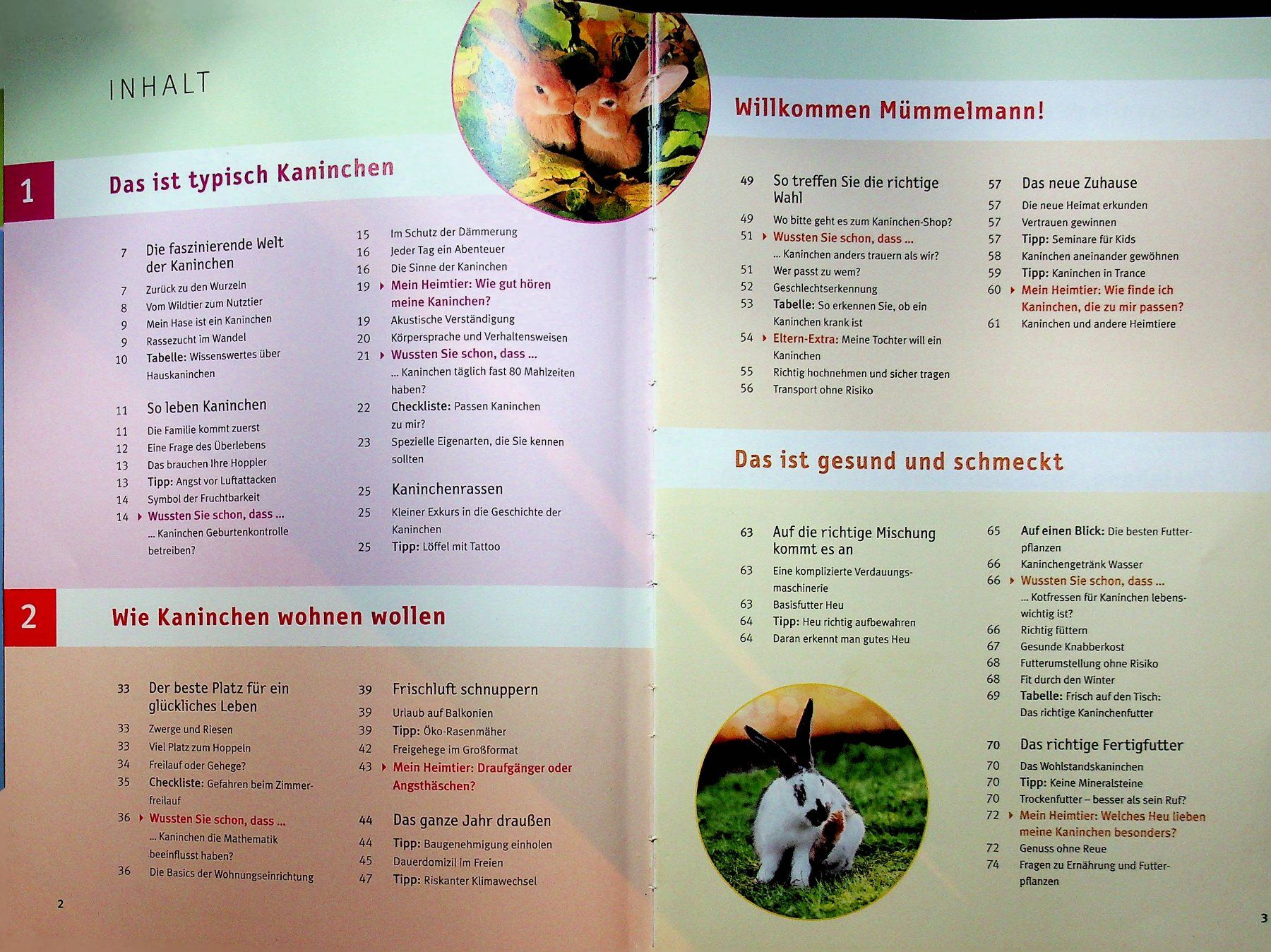 Bücher: Mein Kaninchen / Esther Schmid – Gebraucht aus Reitnau von Zaomir 4