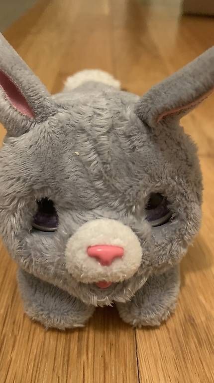 Giocattoli: FurReal Hasbro Newborns Häschen – Usato da Wettingen venduto da Taht1 1