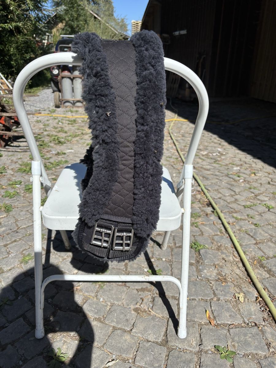 Selles, accessoires: Sattelgurt – D'occasion à St. Gallen par may_8fbd