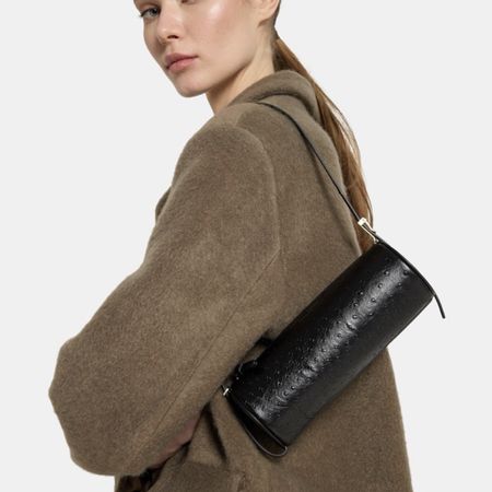 Proenza Schouler bag