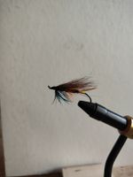 Streamer Fliegenfischen braun