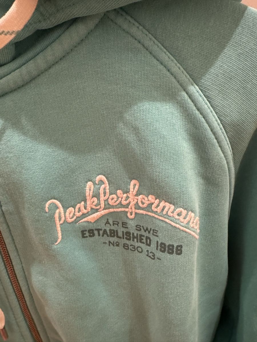Peak Performance Maglioni & Felpe: Hoody von Peak Performance – Usato da Zofingen venduto da Steffinha01 1