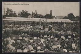 Lausanne, VIII. Exposition Suisse d'agri