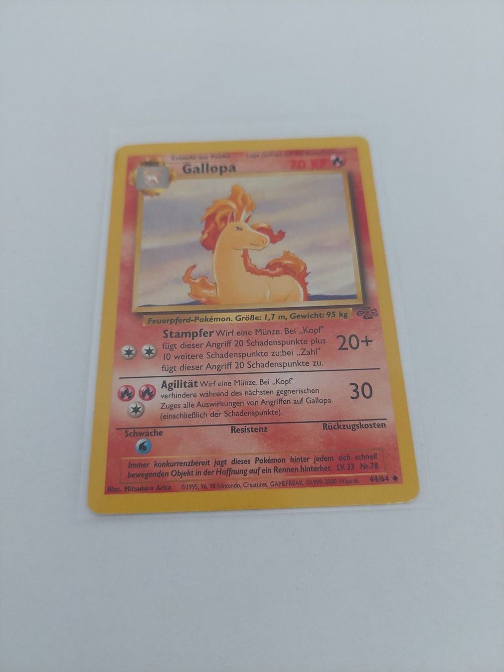 Karten: Gallopa – Neu (gemäss Beschreibung) aus Köniz von Pokecollect