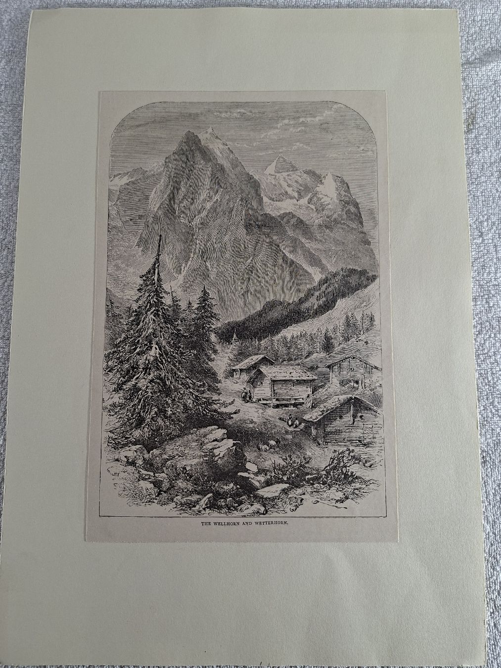 Incisioni: Lot 30 , 5 Stiche  – Usato da Grindelwald venduto da carro5 8