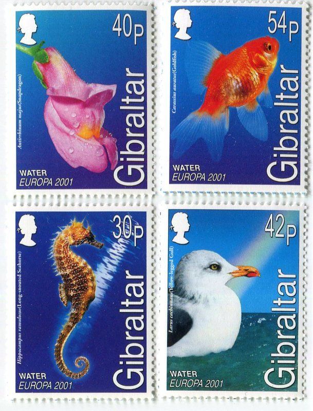 Tous les timbres: Briefmarken "Fische & Möwen". Gibraltar. – Neuf avec emballage d'origine à Basel par Butsch5