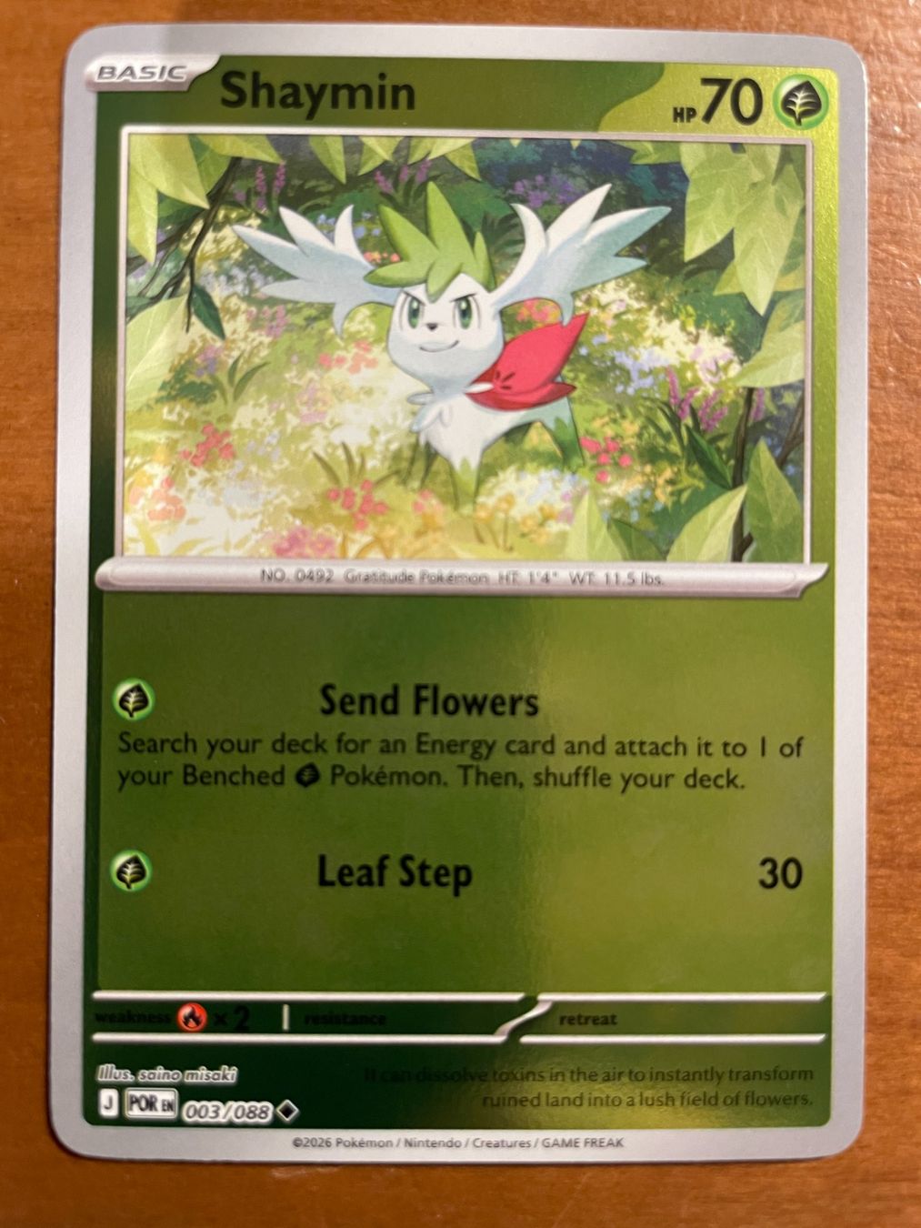 Pokémon Carte collezionabili: Pokemon Shaymin Reverse (Versand gratis) – Nuovo (secondo la descrizione) da Chur venduto da Angerson