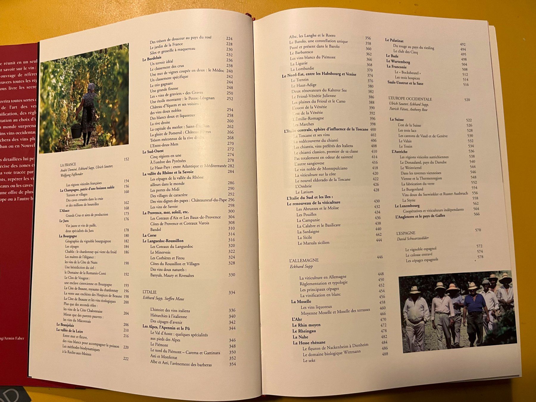 Libri: LE VIN  André Dominé – Usato da Biel-Bienne venduto da Doriskoloris 6