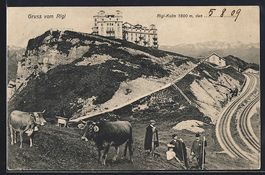 Rigi-Kulm, Hotel mit Wanderern und Kühe
