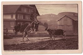 Ziegen, Zeitvertreib vor dem Haus, Landwirtschaft, um 1925