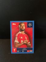 Topps CL Sticker 25/26 Cody Gakpo Blue Parallel Nr. 264
