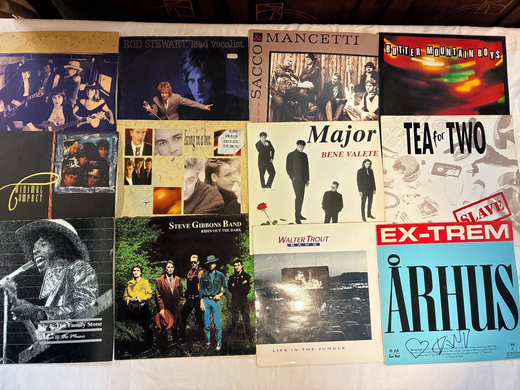 Dischi in vinile: 12 Schallplatten 1980 - 2000 – Usato da Gümligen venduto da Roe22
