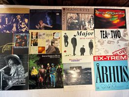12 Schallplatten 1980 - 2000