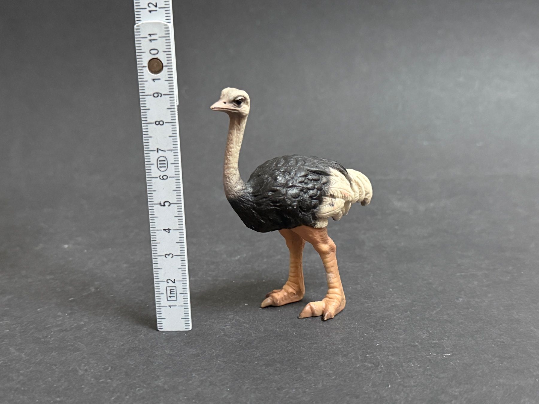 Schleich Statuette: Schleich Strauß  Strauss – Usato da Ennetbaden venduto da mapa05 1