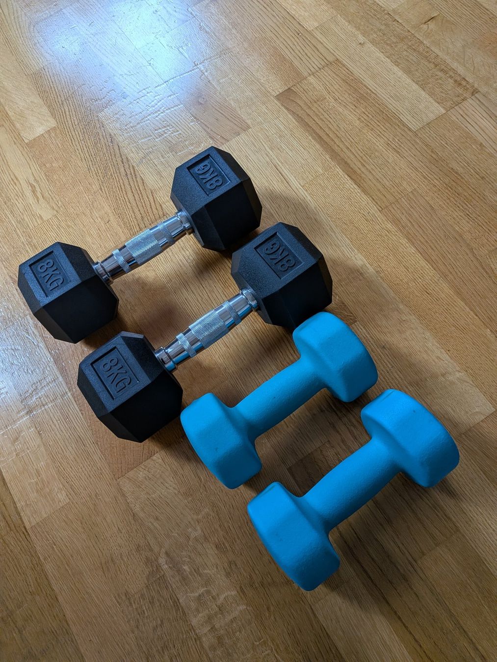 Manubri & Pesi: 8 und 5 Kilo Hantelset – Usato da Samstagern venduto da Lebkuchenfreund