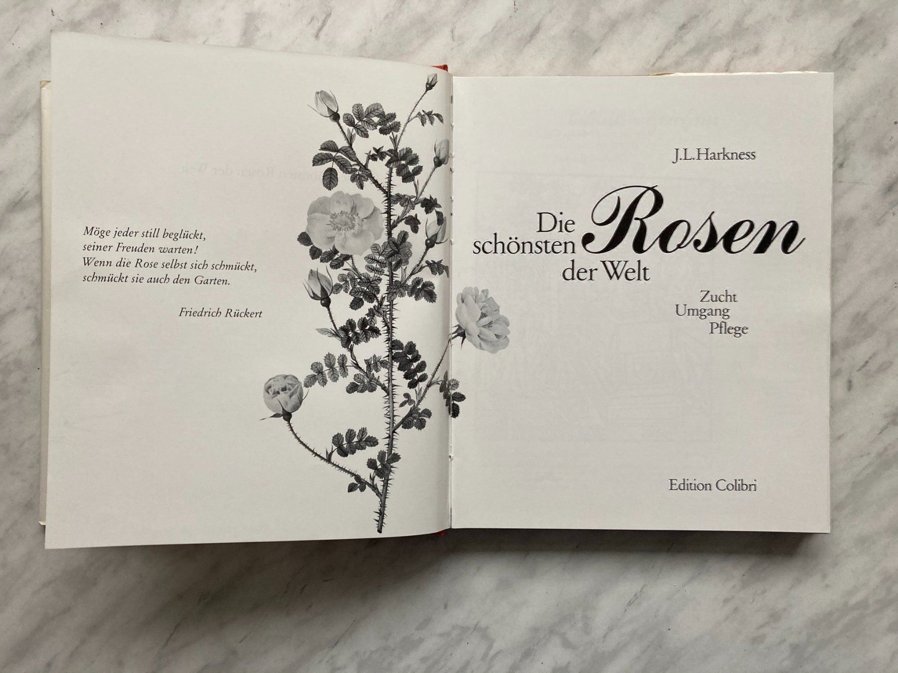 Libri: Die schönsten Rosen der Welt – Usato da Mirchel venduto da buecher_wurm 2