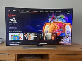 Samsung TV 65 Zoll