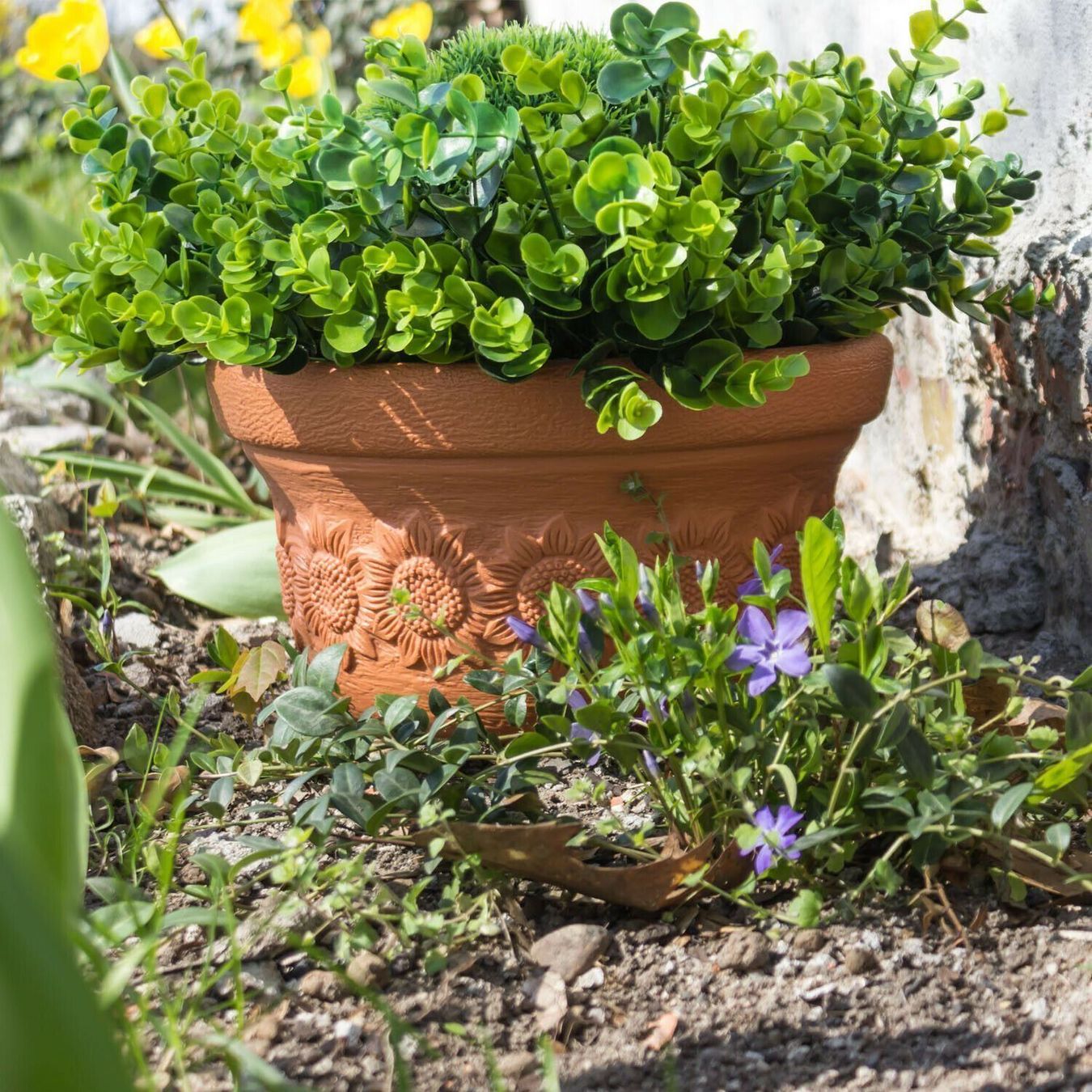 Vasi per fiori: Pflanzentopf Blumenschale Blumentopf – Nuovo (secondo la descrizione) da Zuzwil SG venduto da Cali67 2