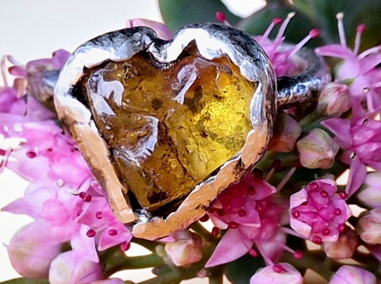 Anelli: Statement-Ring Silber 960 & Bernstein, Grösse 56 – Nuovo e nell'imballaggio originale da Aarau venduto da Schmuckhoehle_MD 1