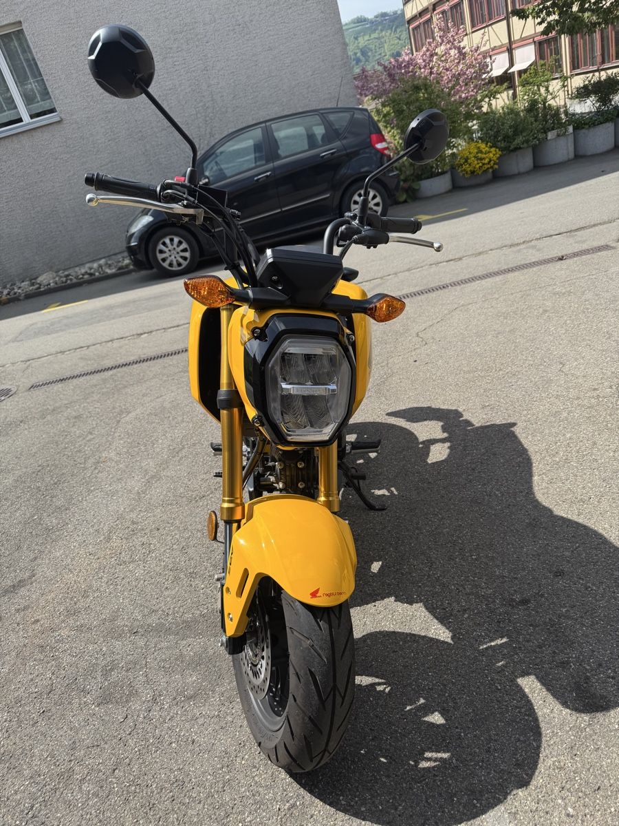 Honda Strada: Honda  MSX 125 – Nuovo (secondo la descrizione) da Münsingen venduto da FerrariF355