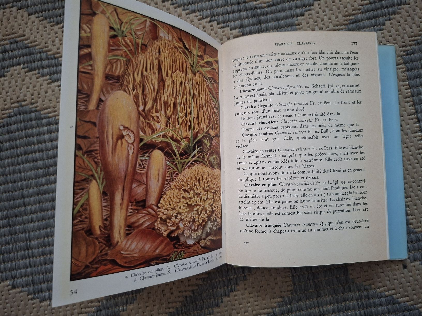 Libri: Livre Les Champignons dans la Nature J. Jaccotet  – Usato da Lausanne venduto da bagadou 3