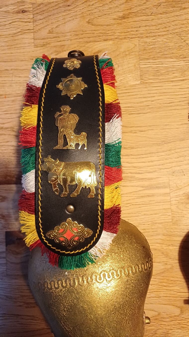 Glocken & Treicheln: 2 Schöne Glocken Apenzell – Gebraucht aus Flawil von Naphtali 1