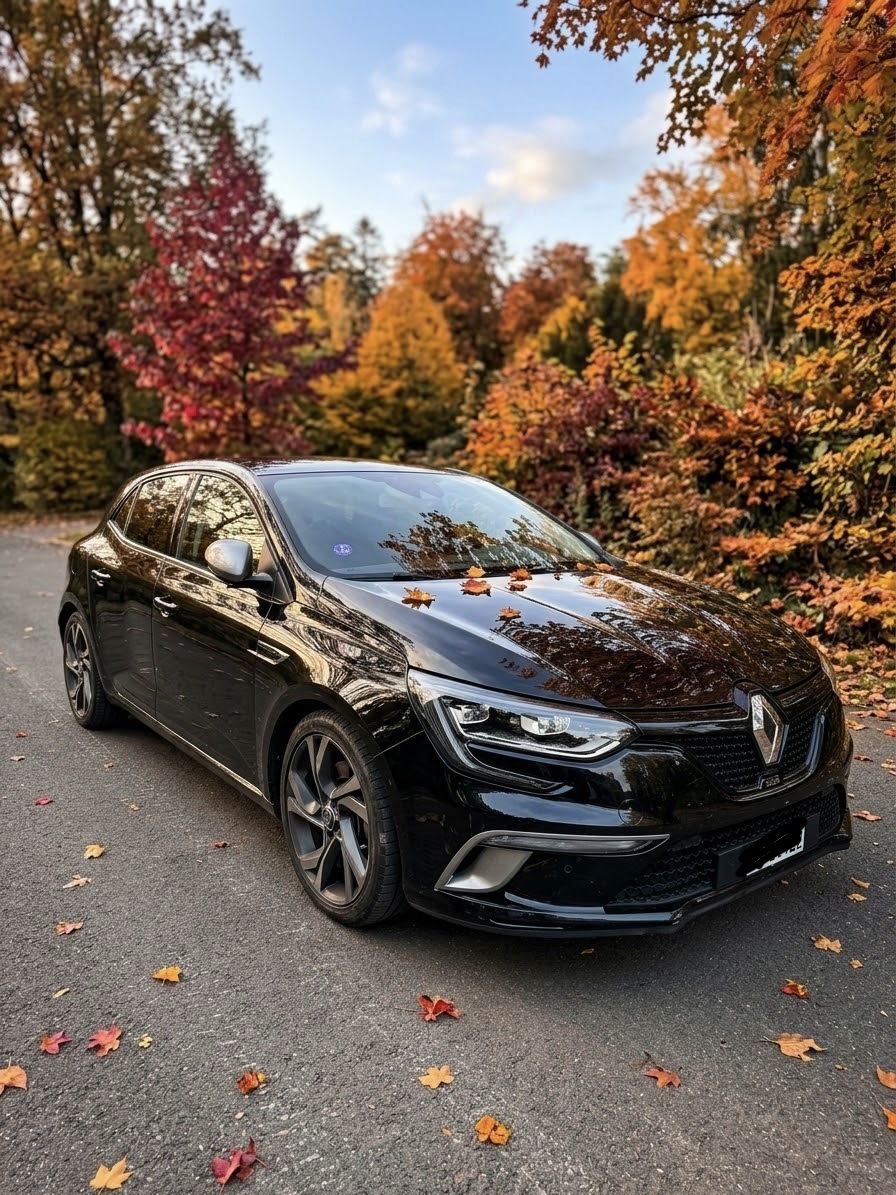 Renault Automobili: Renault Megane GT – Usato da Dänikon ZH venduto da Audifahren3 1