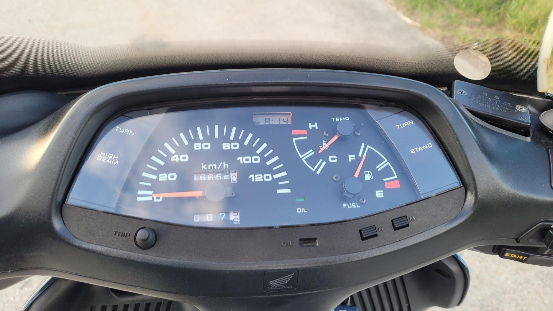 Honda Scooter: Honda CH250 Freeway – Usato da Steg VS venduto da Airamerika 5