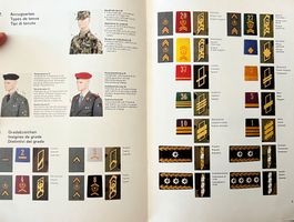 Abzeichen Schweizer Armee Insignes l'armée suisse Distintivi